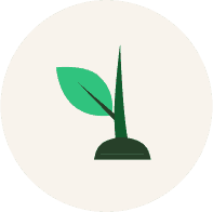 pre-seed accounting for startups