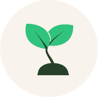 seed accounting for startups
