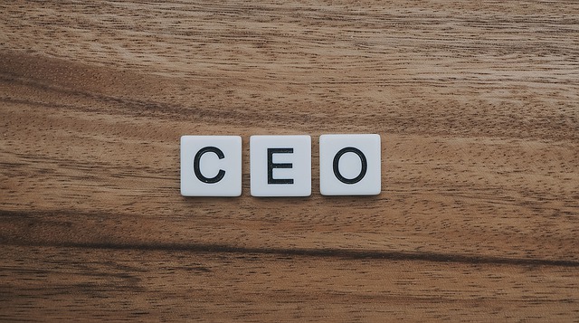 CEO written with cubes