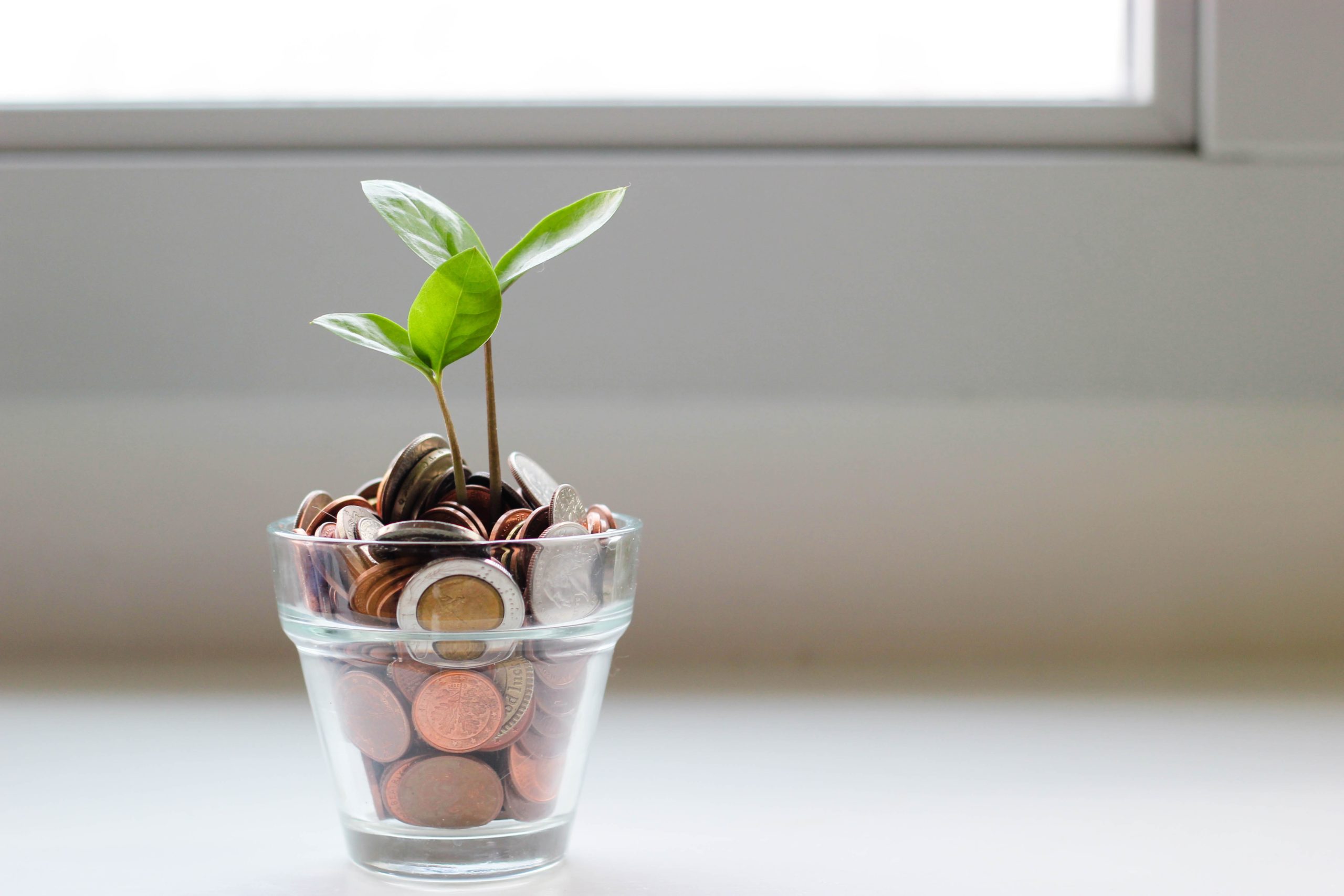 A small plant growing in a pot of coins.